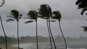 Boca Raton Wind Damage Repairs
