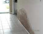 Boca Raton Mold Removal