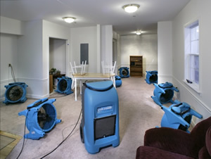 Palm Beach water damage repairs